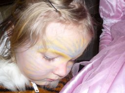 Karneval 2009